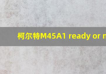 柯尔特M45A1 ready or not